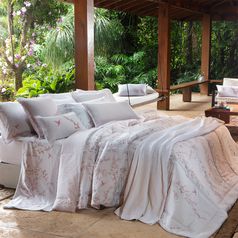 Ilha-Bela----Ambiente