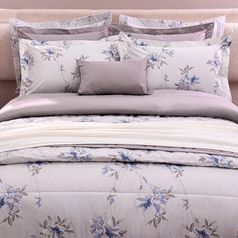 felicitta-ambientada