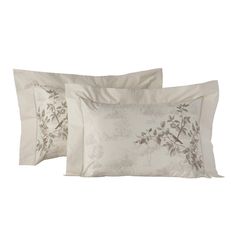 Kit-Fronha-Canto-dos-Passaros-Localizada---Still