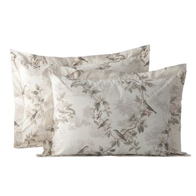 Kit-Fronha-Canto-dos-Passaros-Corrida---Still